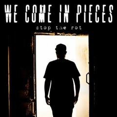 WE COME IN PIECES