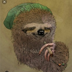 blunt sloth