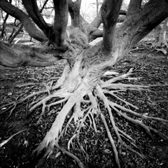 The Edge of the Inside