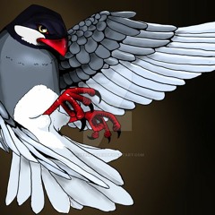 Java Sparrow