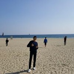 조현호