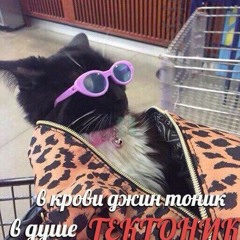 Акакий Укупник