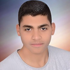 Ahmed Aly