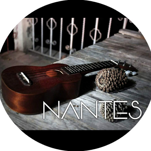 Nantes Oficial’s avatar