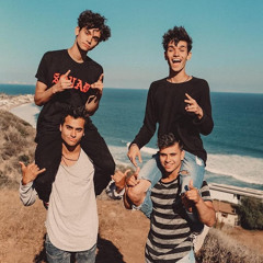 Lucas and Marcus Vlogs