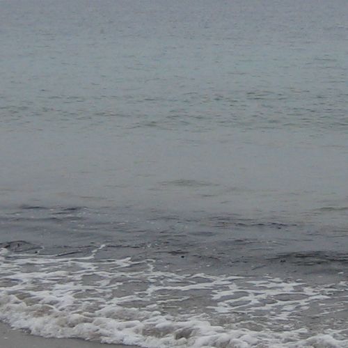 tojiko