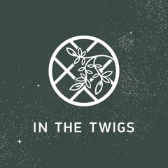 In The Twigs