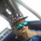Willian Ferreira Viana