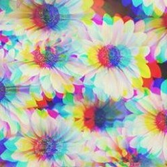 DaySi