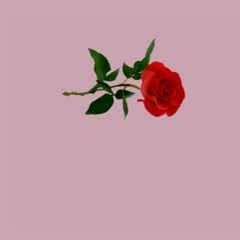 STFU - Rico Nasty (snippet)