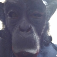 D.T. South  (purposely bad)