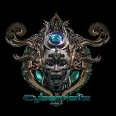 Cybernetic