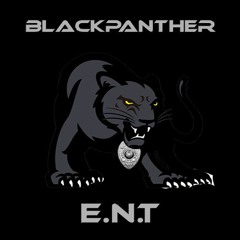 Black Panther Entertainment