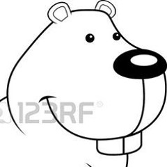 user296527941