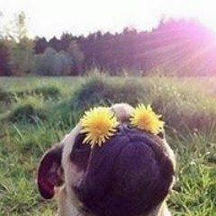 noNamerequired