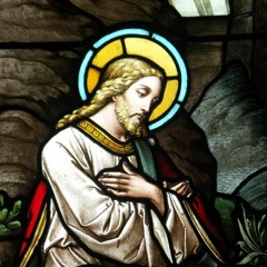 أغنية أنت تقدر - محمود العسيلي ومحمد عدوية