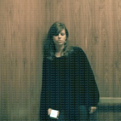 Tigers Are Bad For Horses