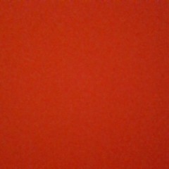 Amy Rose Birnie
