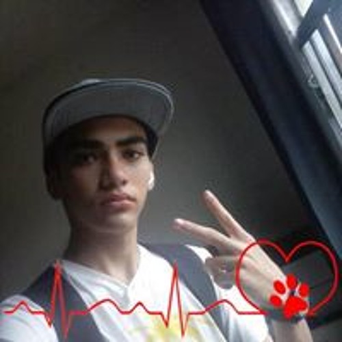 Mateus Camargo Mauricio’s avatar