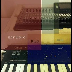 Maguey Estudio Tres