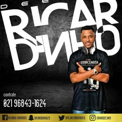 DJ RICARDINHO STL ✪