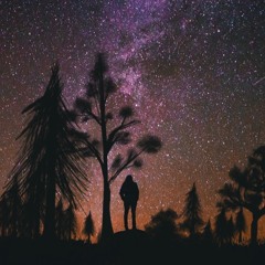 N I G H T S   J O U R N E Y