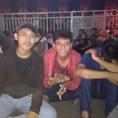 reggae fest
