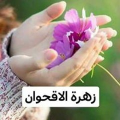 زهرة الاقحوان