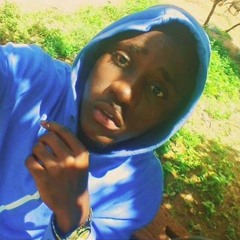 LHAUD