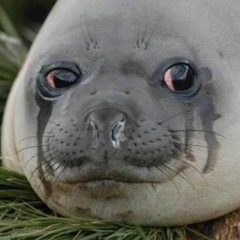 DONT TUCH ME