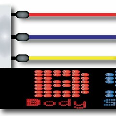 Bodyslam Inc (Wrestling Podcast)