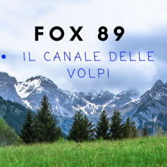 FOX 89
