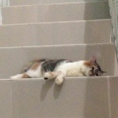 문득 - 은지원