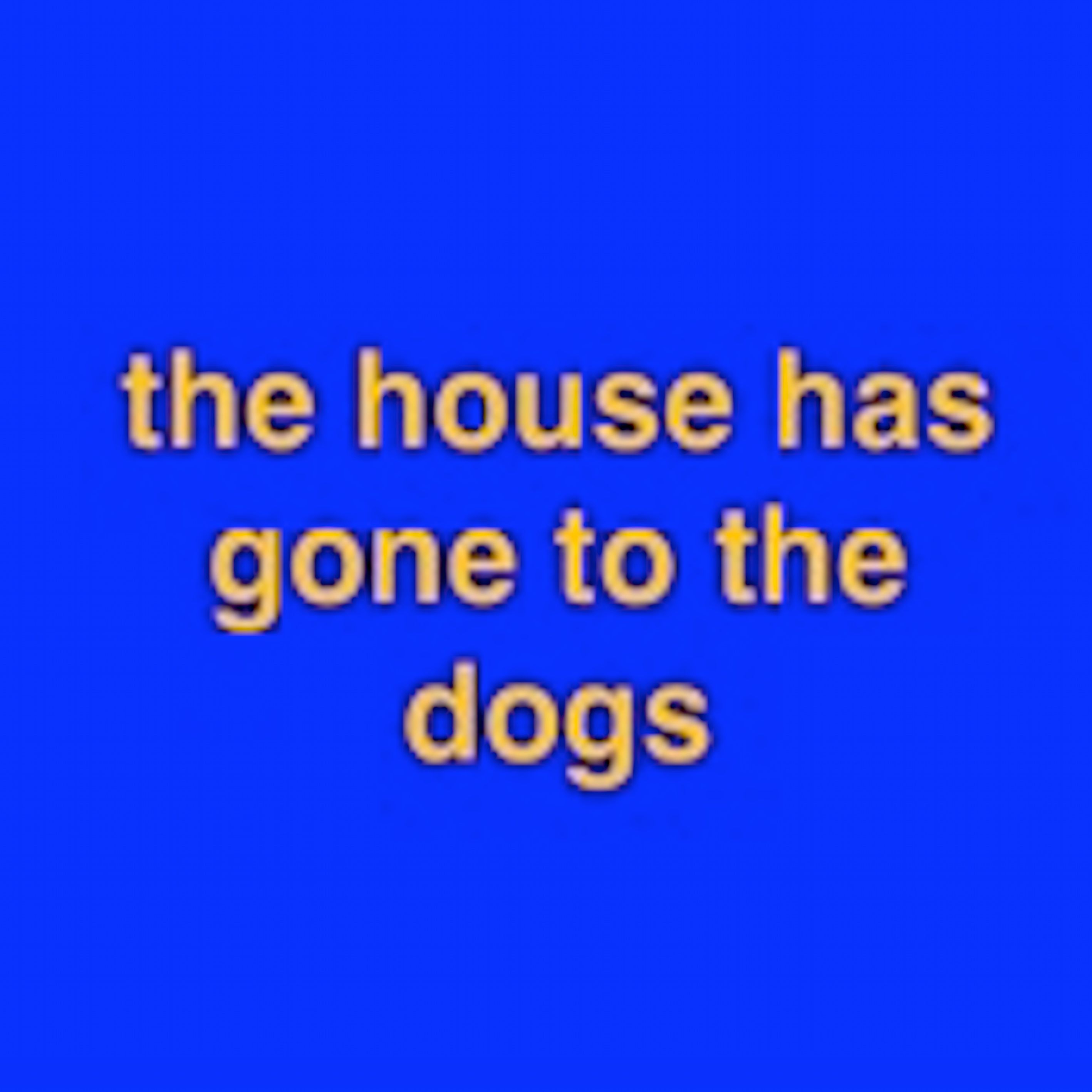 the house has gone to the dogs