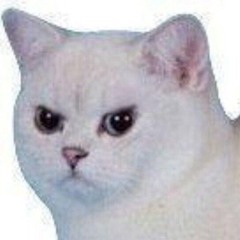 fuck