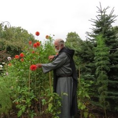 Ronan De