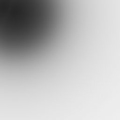 Ｔｈｅ ｒｉｓｅ