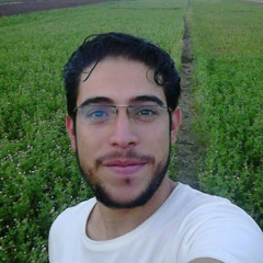 ahmed abdelhakeem