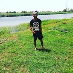 مصطفي العديسي