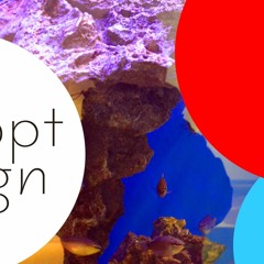 Cap and glasses by syncopt design