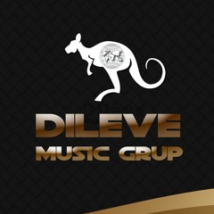 Dileve Music Grup