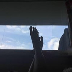 Gypsophila Blanchett