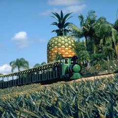The Ananas!