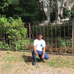 shortyshoo