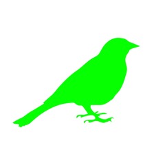 Neonbird