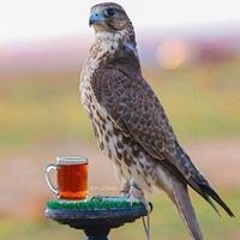 محمد جوخه جي