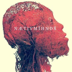 nativeminds