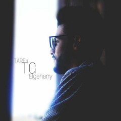 Tarek Mahmoued