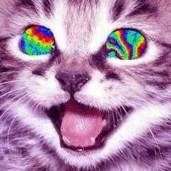 The Illness - Kid606