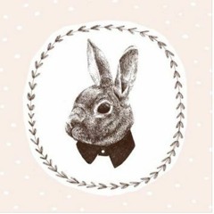 Rabbit Sessions